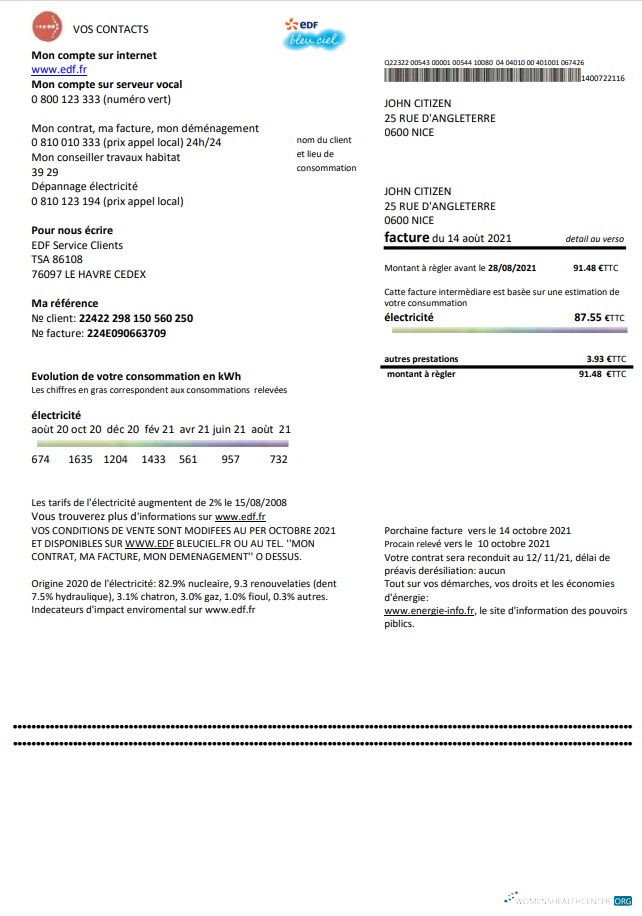 download download France EDF proof of address utility bill template in Word and PDF format PDF template PDF template